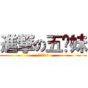 進撃の五姊妹 (終極五姊妹♥)
