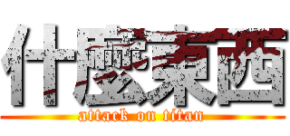 什麼東西 (attack on titan)