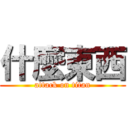 什麼東西 (attack on titan)