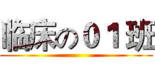 临床の０１ 班 ()