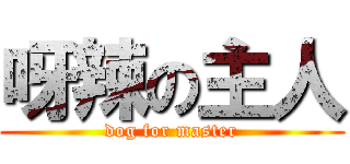 呀辣の主人 (dog for master)