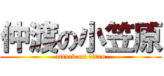 仲渡の小笠原 (attack on titan)