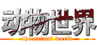 动物世界 (the animal world)