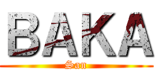ＢＡＫＡ (San)
