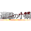 進擊の小鳞 (attack on titan)