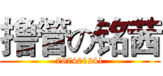 撸管の铭茜 (787401241)