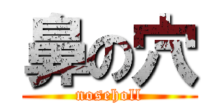 鼻の穴 (noseholl)