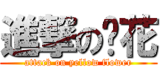 進撃の黃花 (attack on yellow flower)