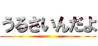 うるさいんだよ ()