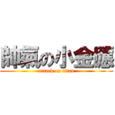 帥氣の小金應 (attack on titan)