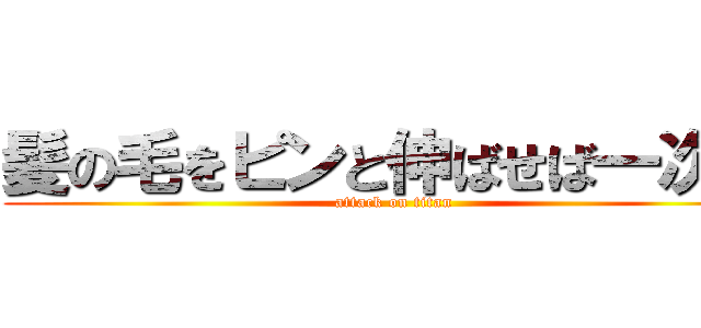 髪の毛をピンと伸ばせば一次元 (attack on titan)