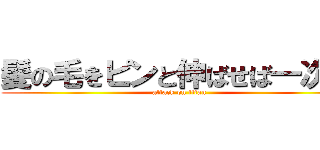 髪の毛をピンと伸ばせば一次元 (attack on titan)