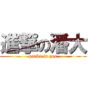 進撃の潘大 (panda in zoo)