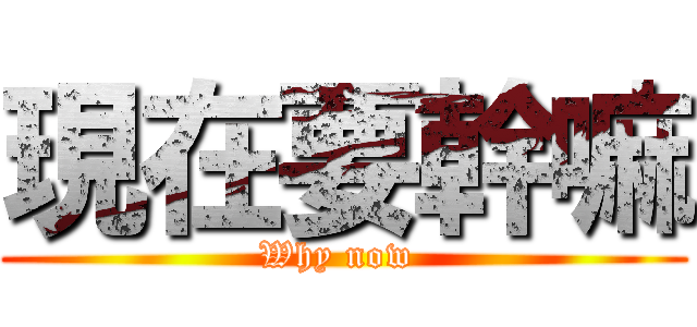 現在要幹嘛 (Why now )