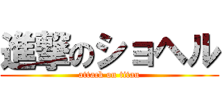 進撃のショヘル (attack on titan)