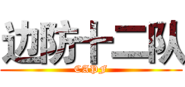 边防十二队 (CAPF)