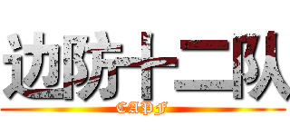 边防十二队 (CAPF)