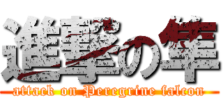 進撃の隼 (attack on Peregrine falcon)