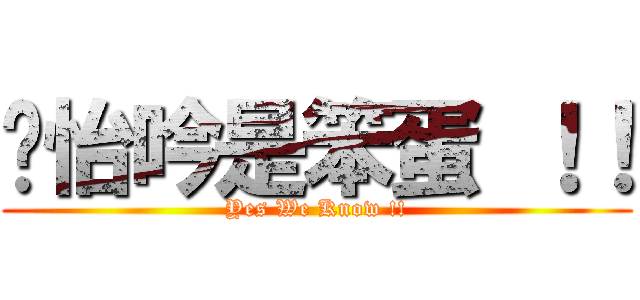 懂怡吟是笨蛋 ！！ (Yes We Know !!)