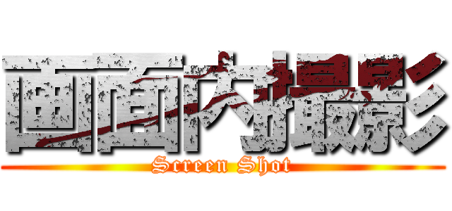 画面内撮影 (Screen Shot)