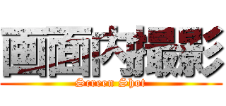 画面内撮影 (Screen Shot)