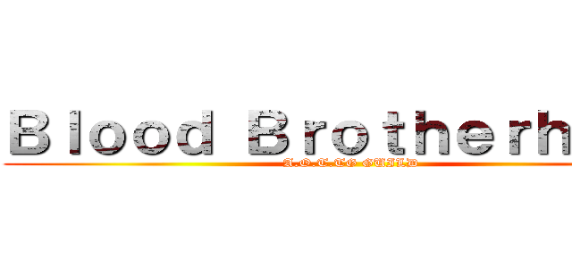 Ｂｌｏｏｄ Ｂｒｏｔｈｅｒｈｏｏｄ (A.O.T.TG GUILD)