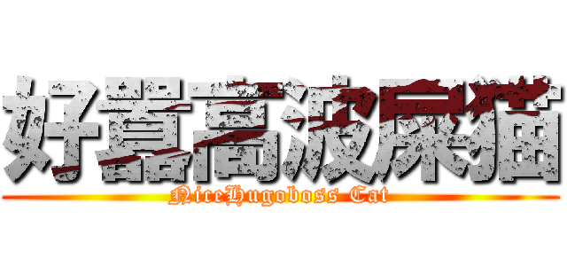 好囂高波屎猫 (NiceHugoboss Cat)
