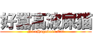 好囂高波屎猫 (NiceHugoboss Cat)