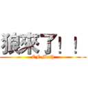 狼來了！！ (CF Math)