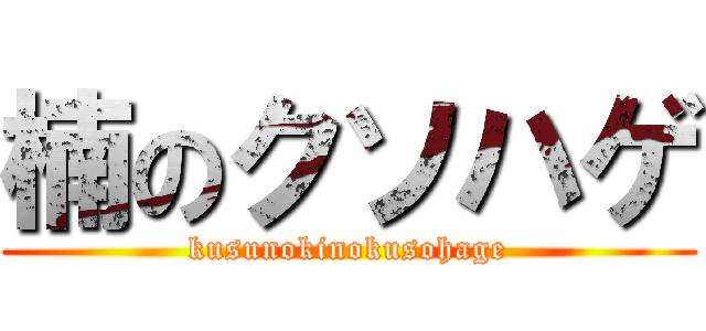 楠のクソハゲ (kusunokinokusohage)