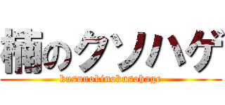 楠のクソハゲ (kusunokinokusohage)