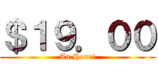 ＄１９．００ (An Hour!)