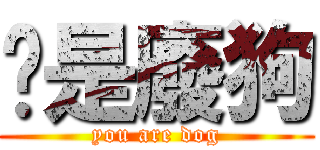 你是廢狗 (you are dog)