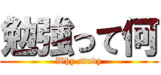 勉強って何 (Why study)