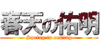 春天の佑明 (Spring is coming)