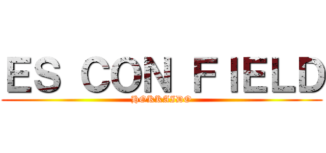 ＥＳ ＣＯＮ ＦＩＥＬＤ (HOKKAIDO)
