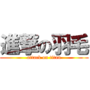 進撃の羽毛 (attack on titan)