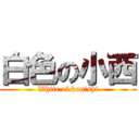 白色の小西 (White of konishi)