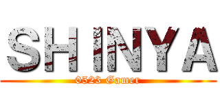 ＳＨＩＮＹＡ (0523 Gamer)