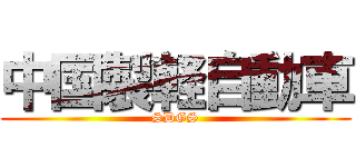 中国製軽自動車 ( SDGS )