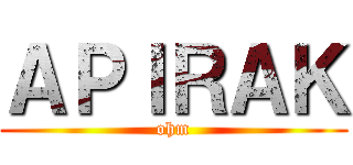 ＡＰＩＲＡＫ (ohm)