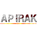 ＡＰＩＲＡＫ (ohm)