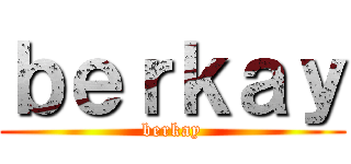 ｂｅｒｋａｙ (berkay)