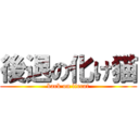 後退の化け猫 (back on liecat)