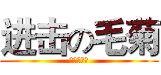 进击の毛菊 (毛爷の菊花)