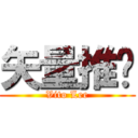 矢量推进 (Vito Lee)