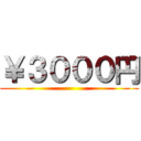 ￥３０００円 ()