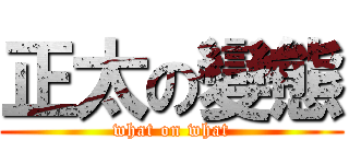 正太の變態 (what on what)
