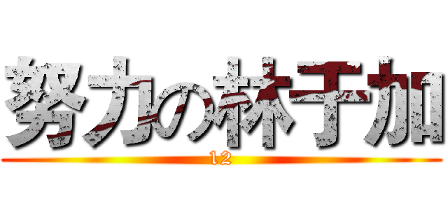 努力の林于加 (12)