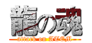 龍の魂 (attack on ATEM)